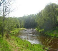 Širvinta