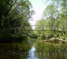 Virinta